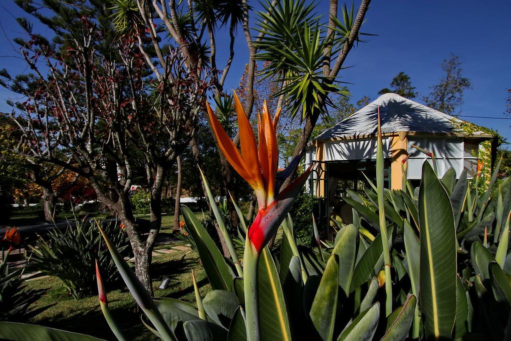 Villa Das Rosas Sintra Exterior photo